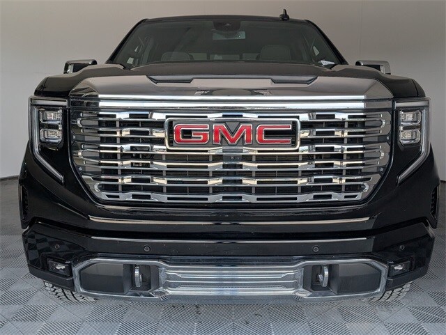 2025 Gmc Sierra 1500 Denali photo 3