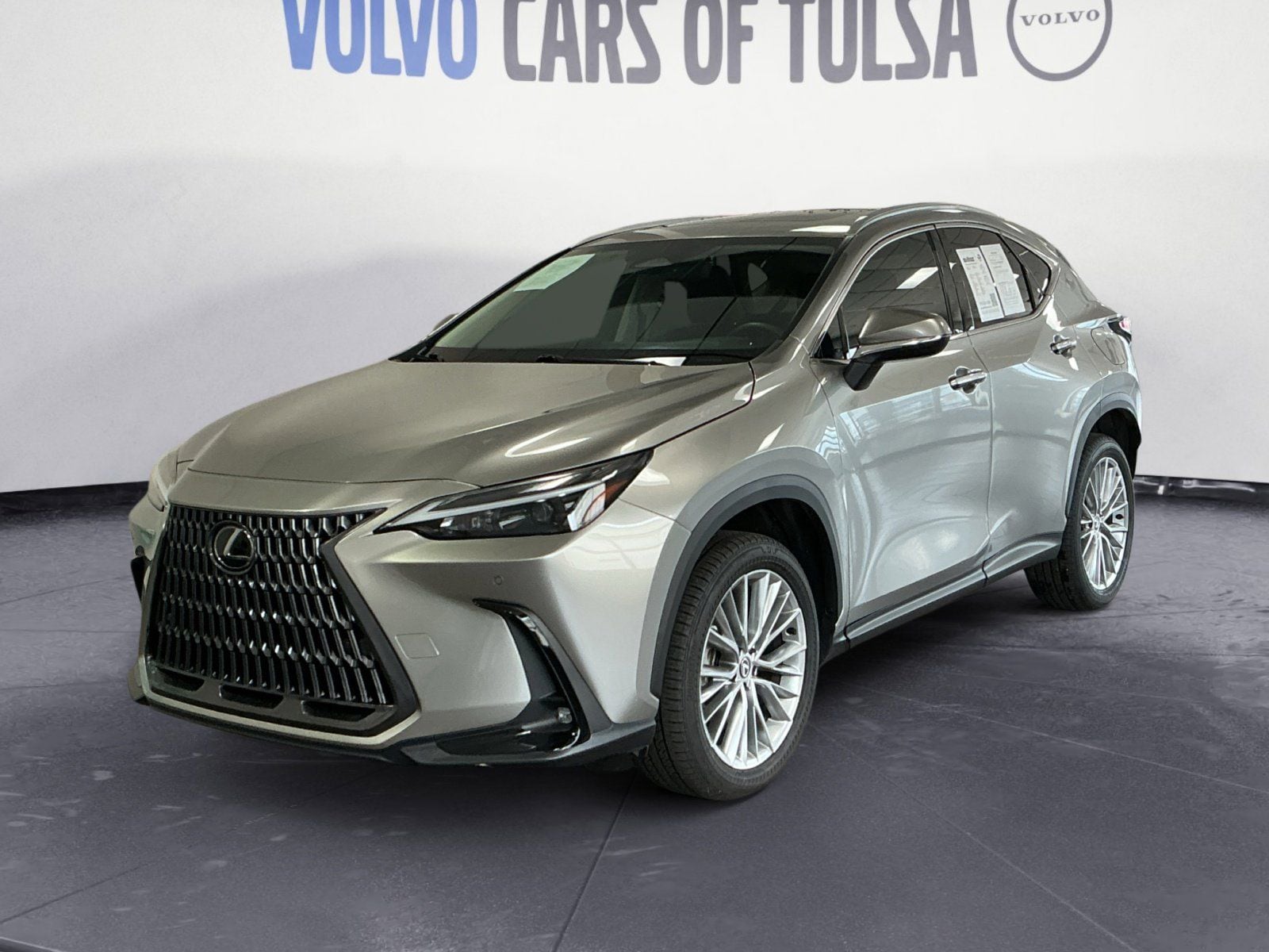 2025 Lexus NX 350h 350h Premium AWD's photo