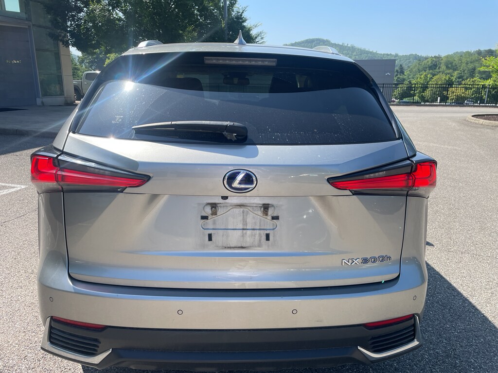 Used 2019 Lexus NX 300h Base Sport Utility