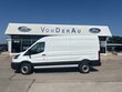  Ford Transit-250