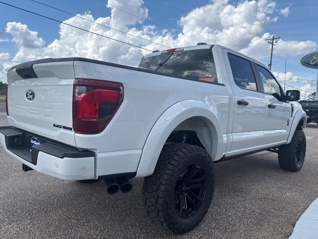 2025 Ford F-150 STX - Photo 10
