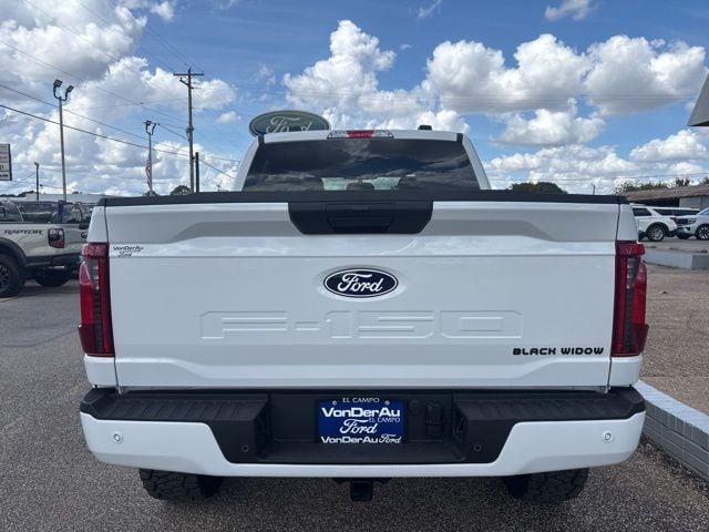 2025 Ford F-150 STX - Photo 8