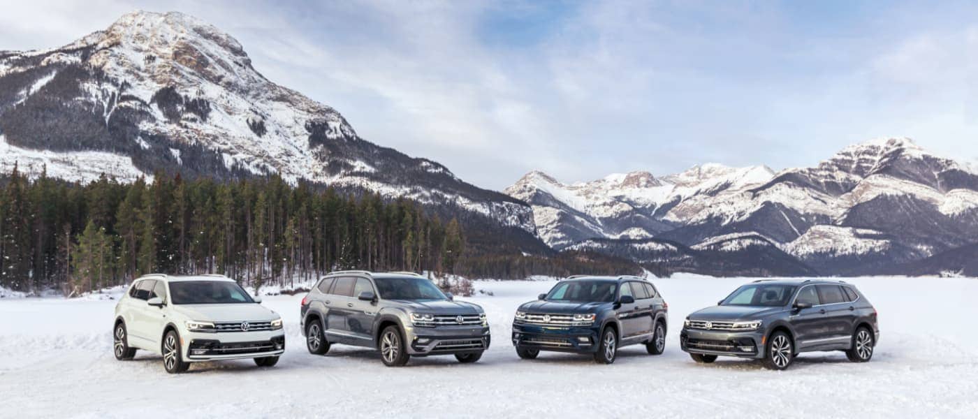 Volkswagen Vehicles Parked next to Each Other in the Mountains