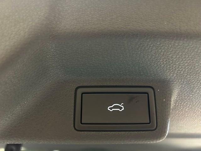 2025 Volkswagen ID. Buzz 1st Edition - Photo 19