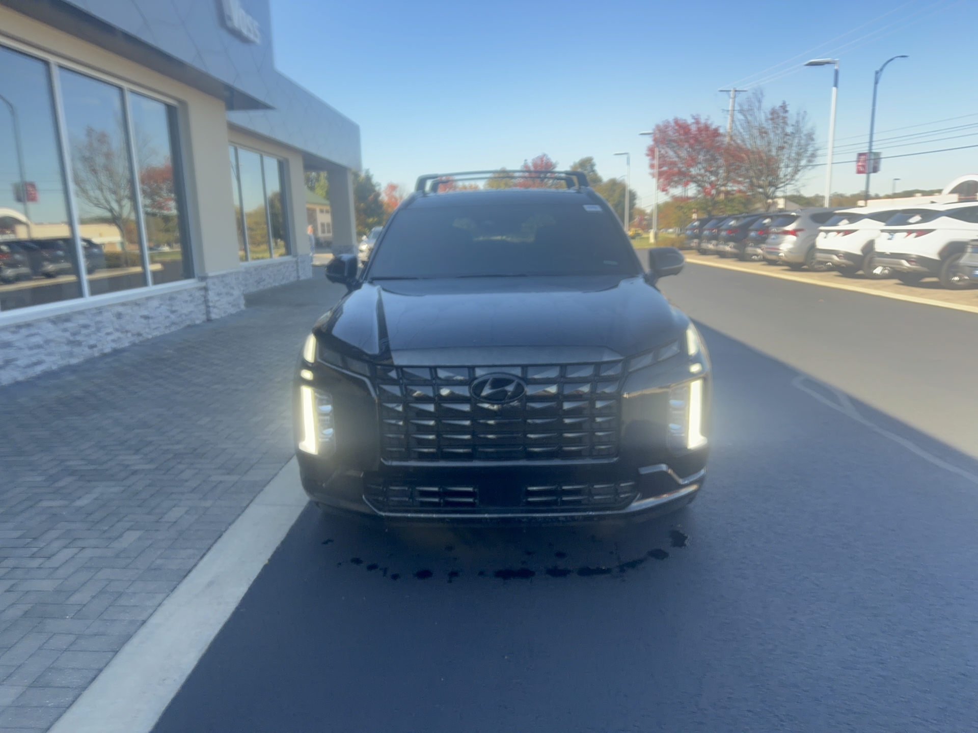 2024 Hyundai Palisade Calligraphy Night Edition, photo 8 of 12