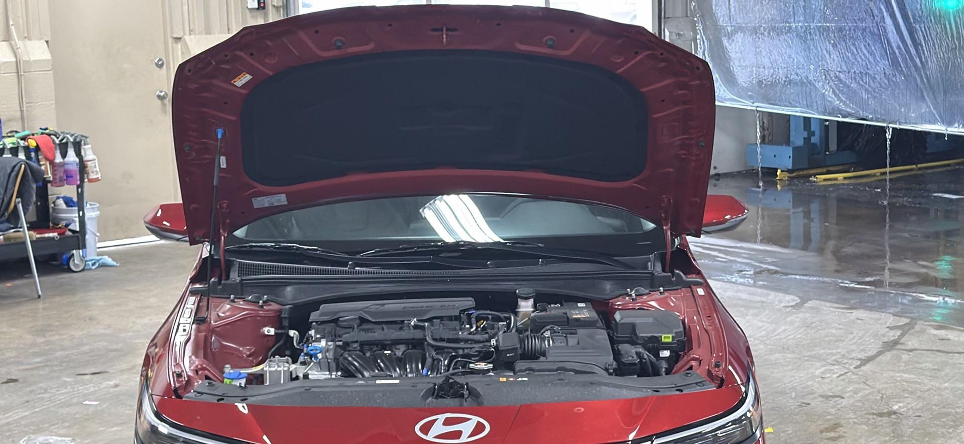 2025 Hyundai Elantra Limited - Photo 12