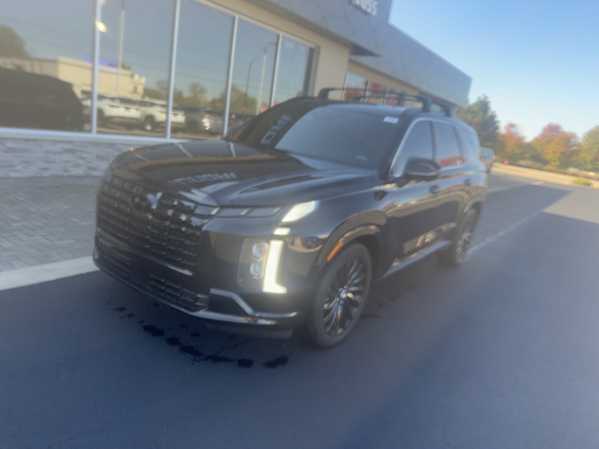 2024 Hyundai Palisade Calligraphy Night Edition, photo 7 of 12