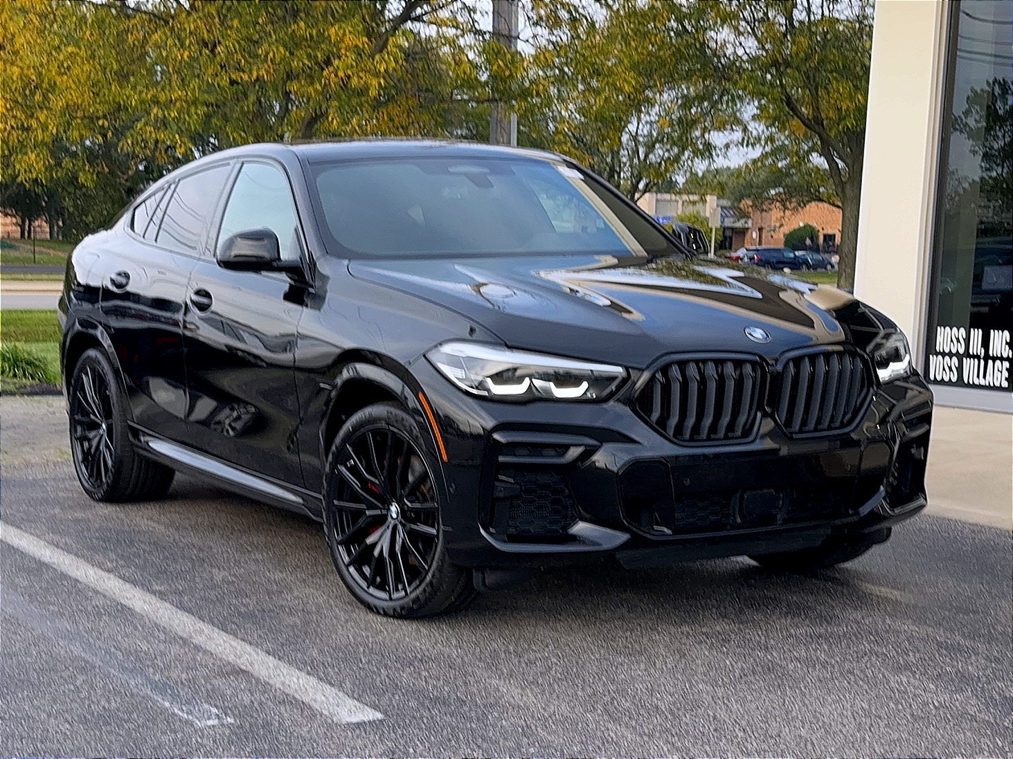 2022 BMW X6 xDrive40i, photo 4 of 12