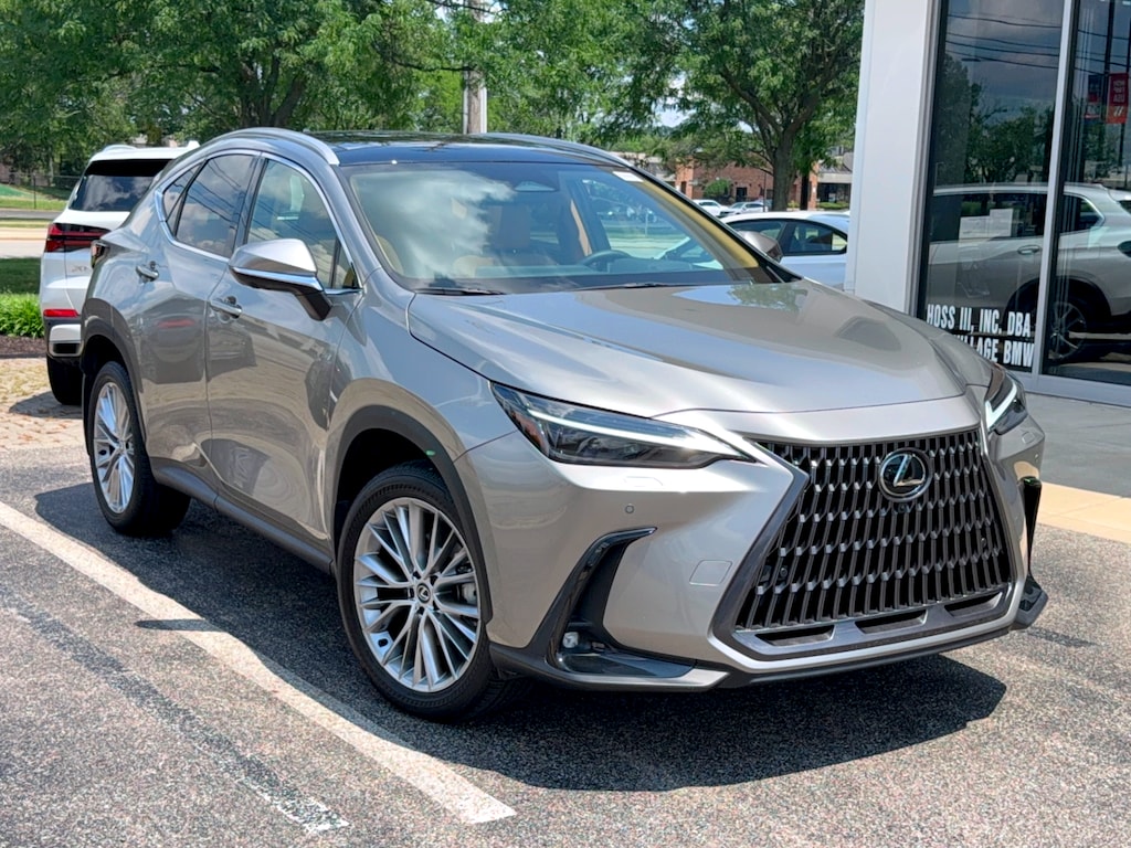Used 2024 Lexus NX Luxury