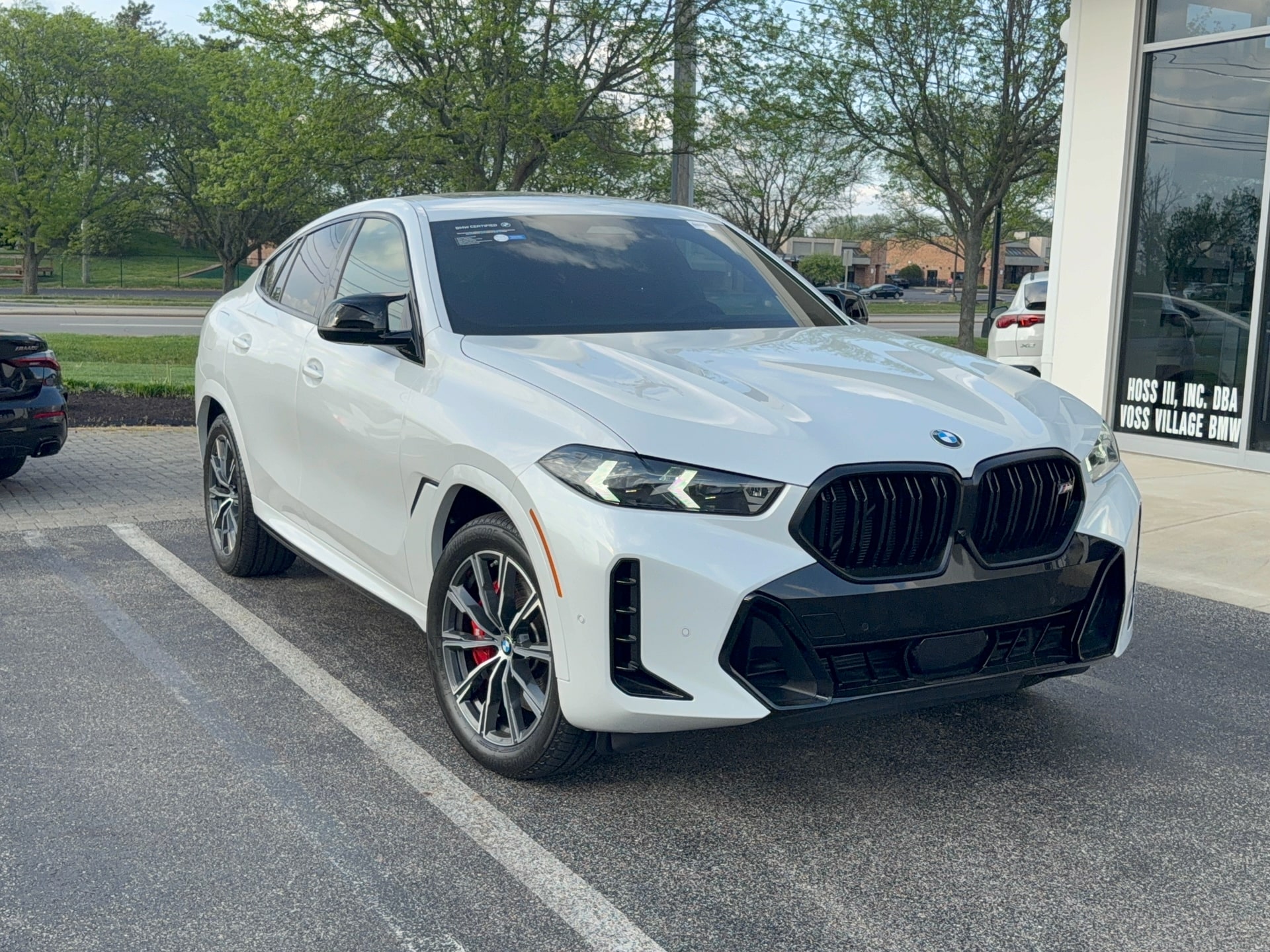 2026 BMW X6 M60i's photo