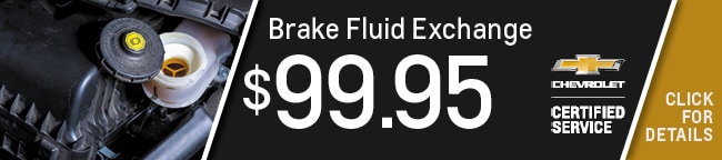 Brake Fluid Flush Special Car Repair Service Coupon, Orlando