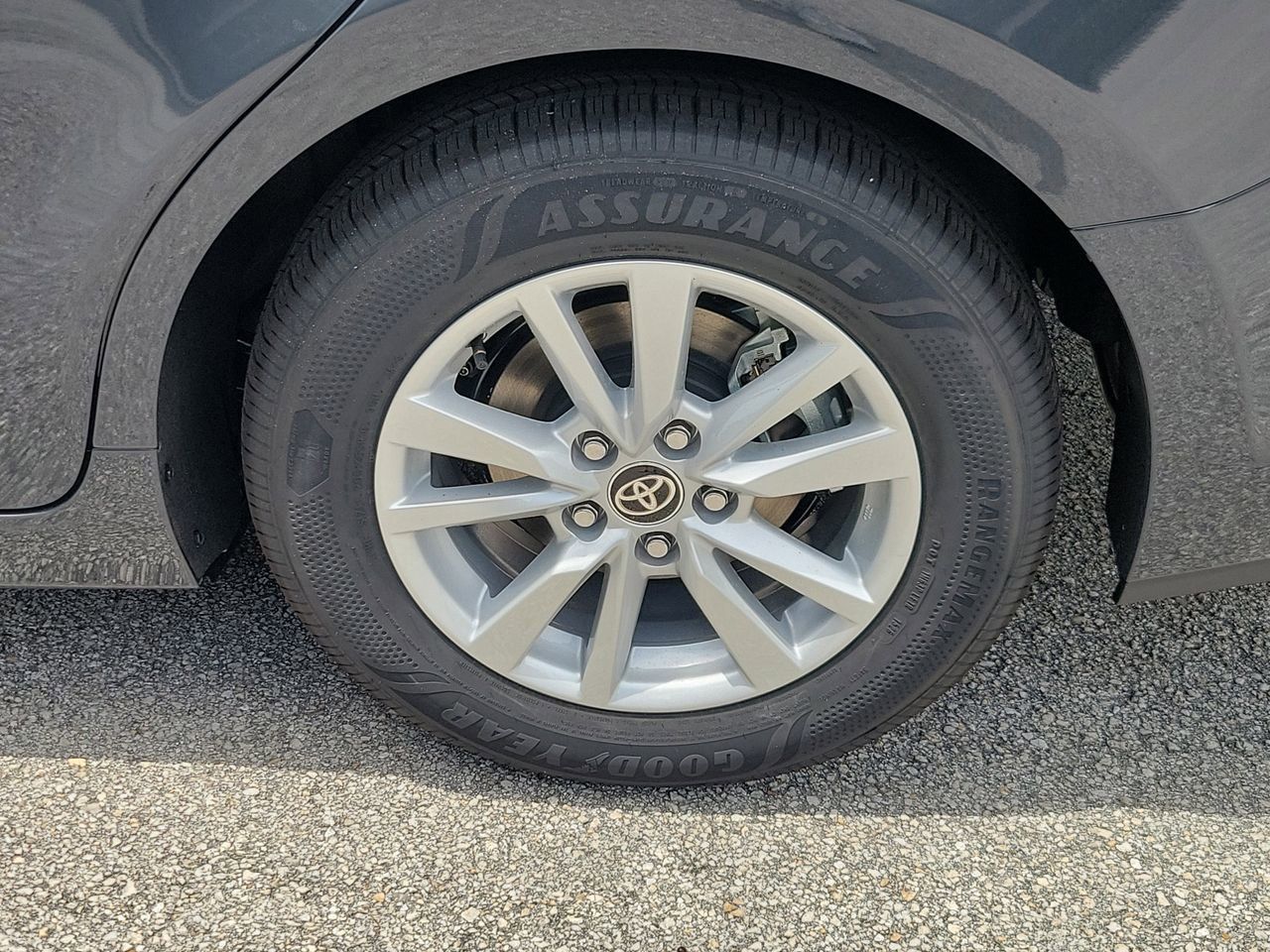 Photo 5