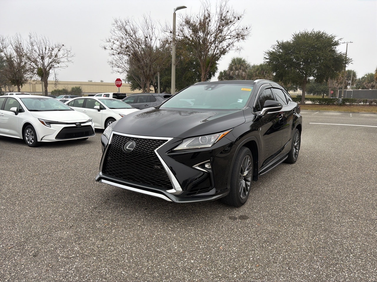 2019 Lexus RX 350 F SPORT's photo