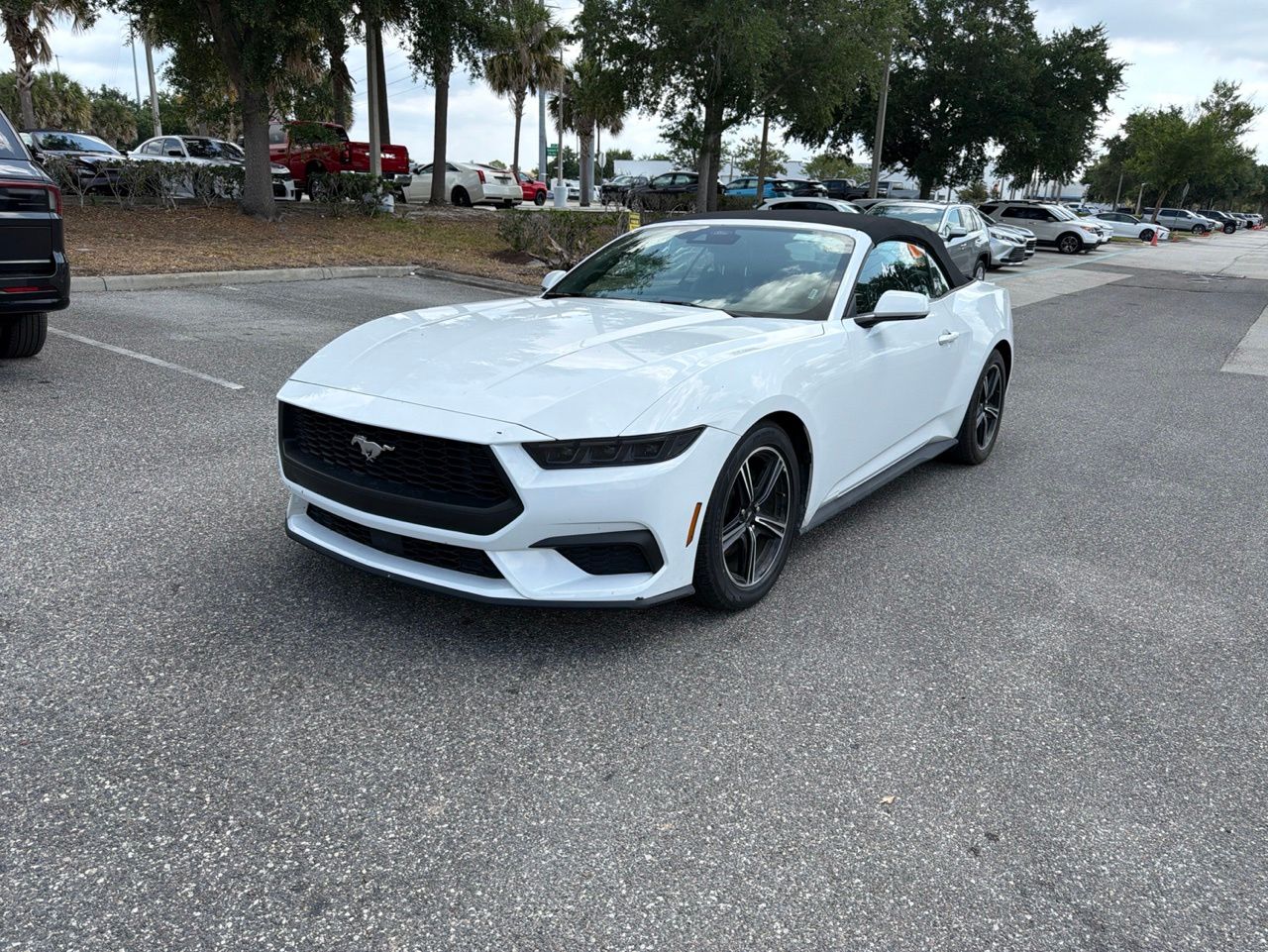 2025 Ford Mustang's photo