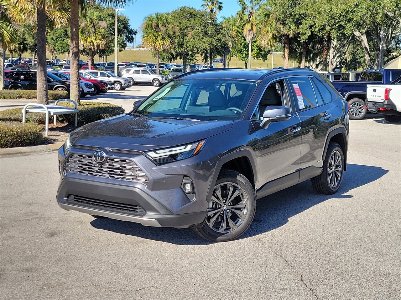 2025 Toyota RAV4 Limited's photo