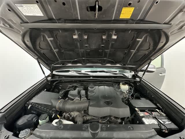 View 25