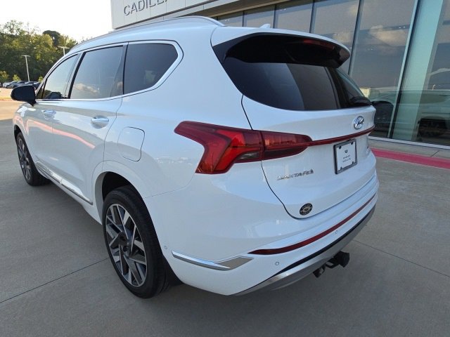 2023 Hyundai Santa Fe Calligraphy photo 3