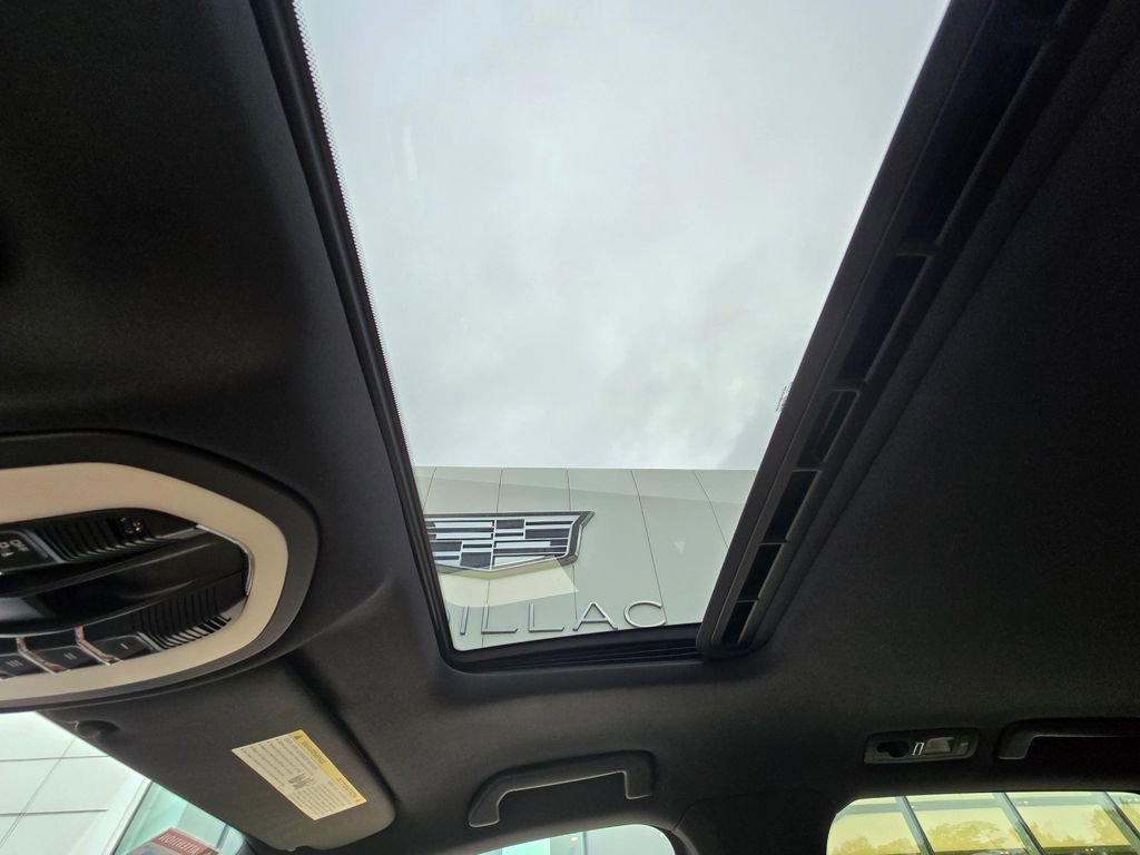 View 32