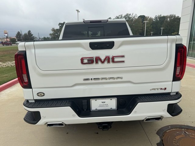 2023 Gmc Sierra 1500 AT4 photo 2