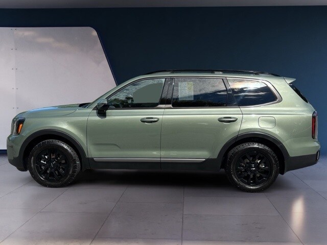 2023 Kia Telluride X-Pro photo 2