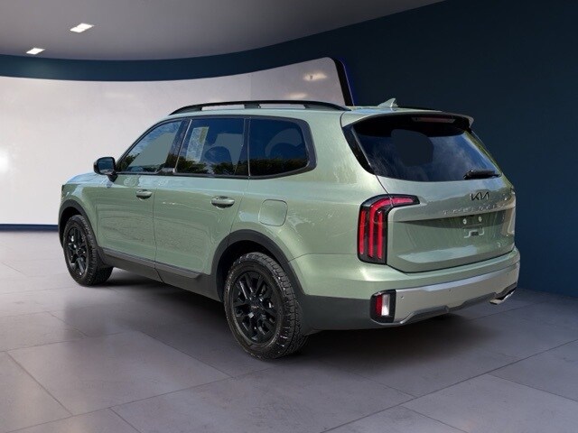2023 Kia Telluride X-Pro photo 3