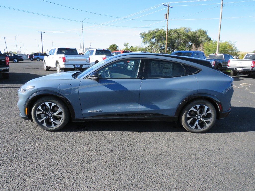 2023 Ford Mustang Mach-E Premium photo 2
