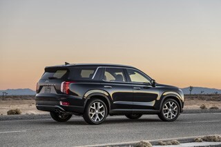 Large-34853-2020Palisade.jpg