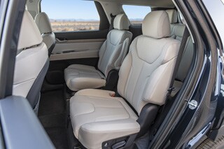 Large-34864-2020Palisade.jpg
