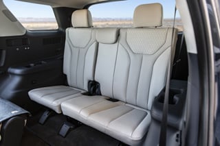 Large-34865-2020Palisade.jpg