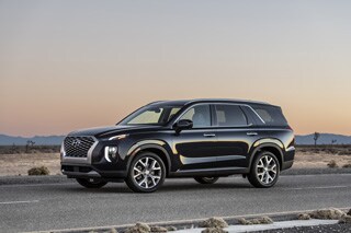 Large-34852-2020Palisade (1).jpg