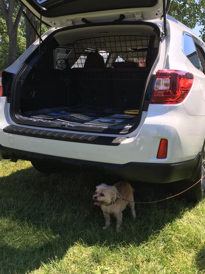 pet expo2.jpg
