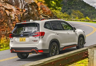 Forester3.jpg
