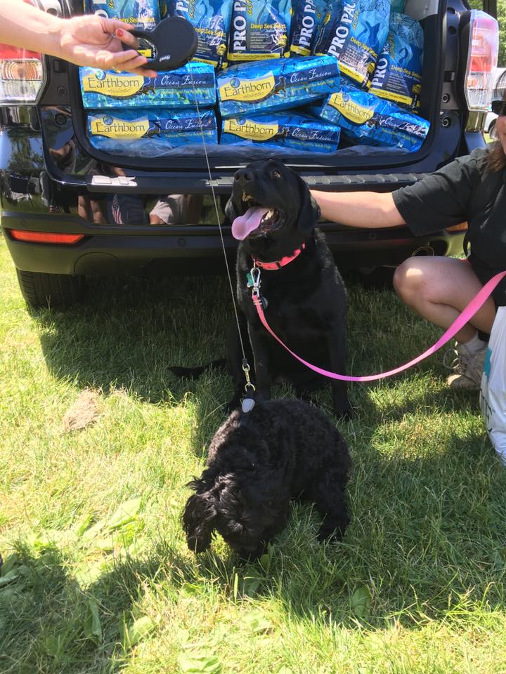 pet expo 4.jpg