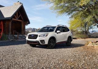 Forester11.jpg
