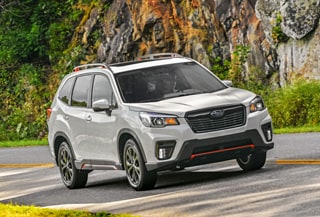 Forester2.jpg