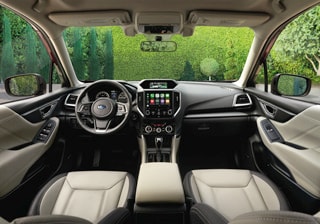 Forester6.jpg