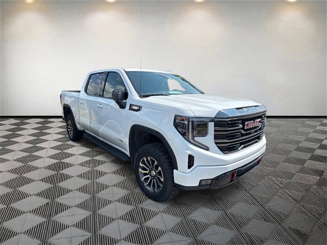 2023 Gmc Sierra 1500 AT4 photo 4