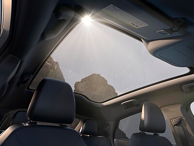 Glass Roof Glass Roof