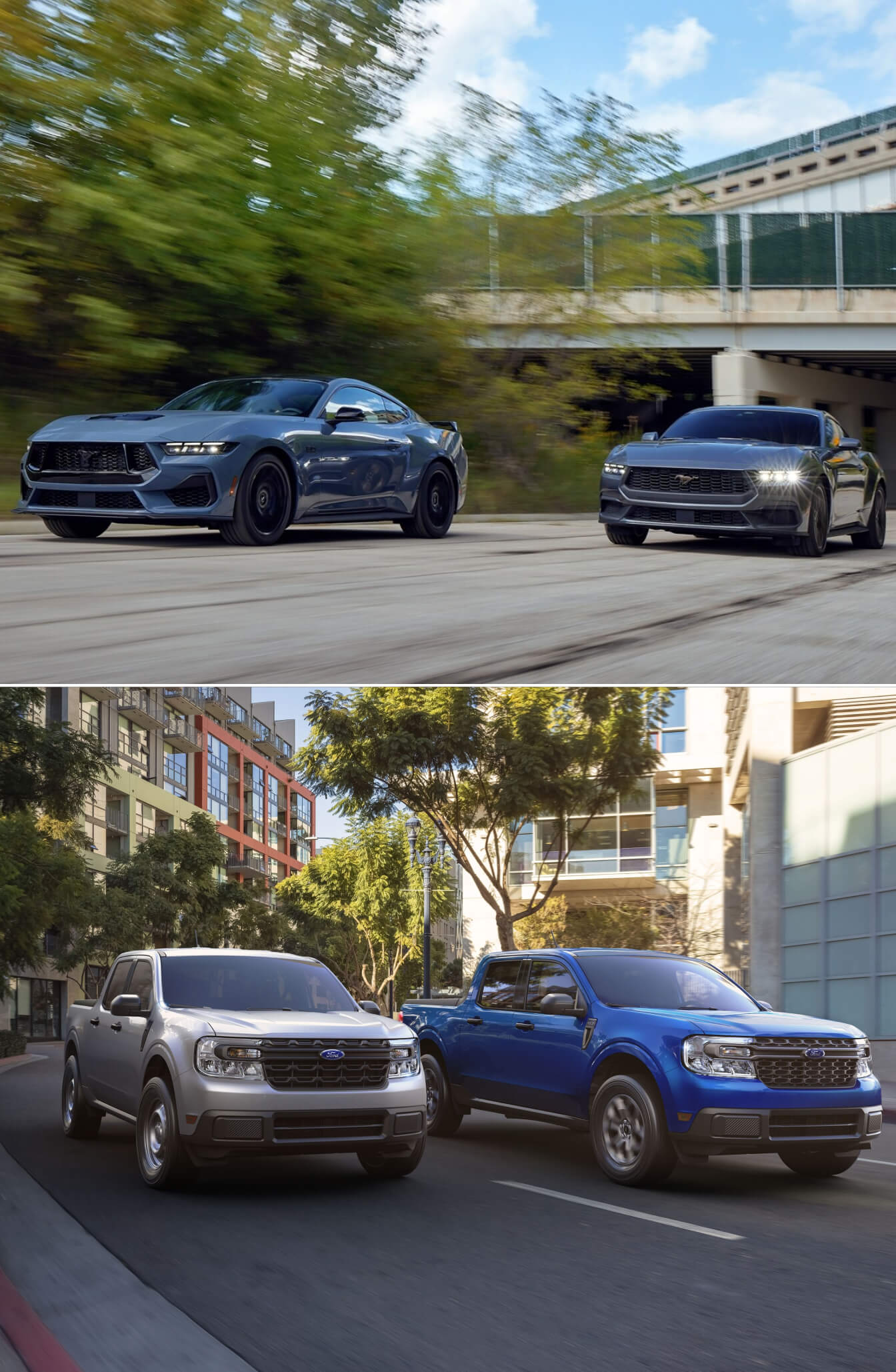 Wally's Ford of Adams New And Used Ford Cars For Sale