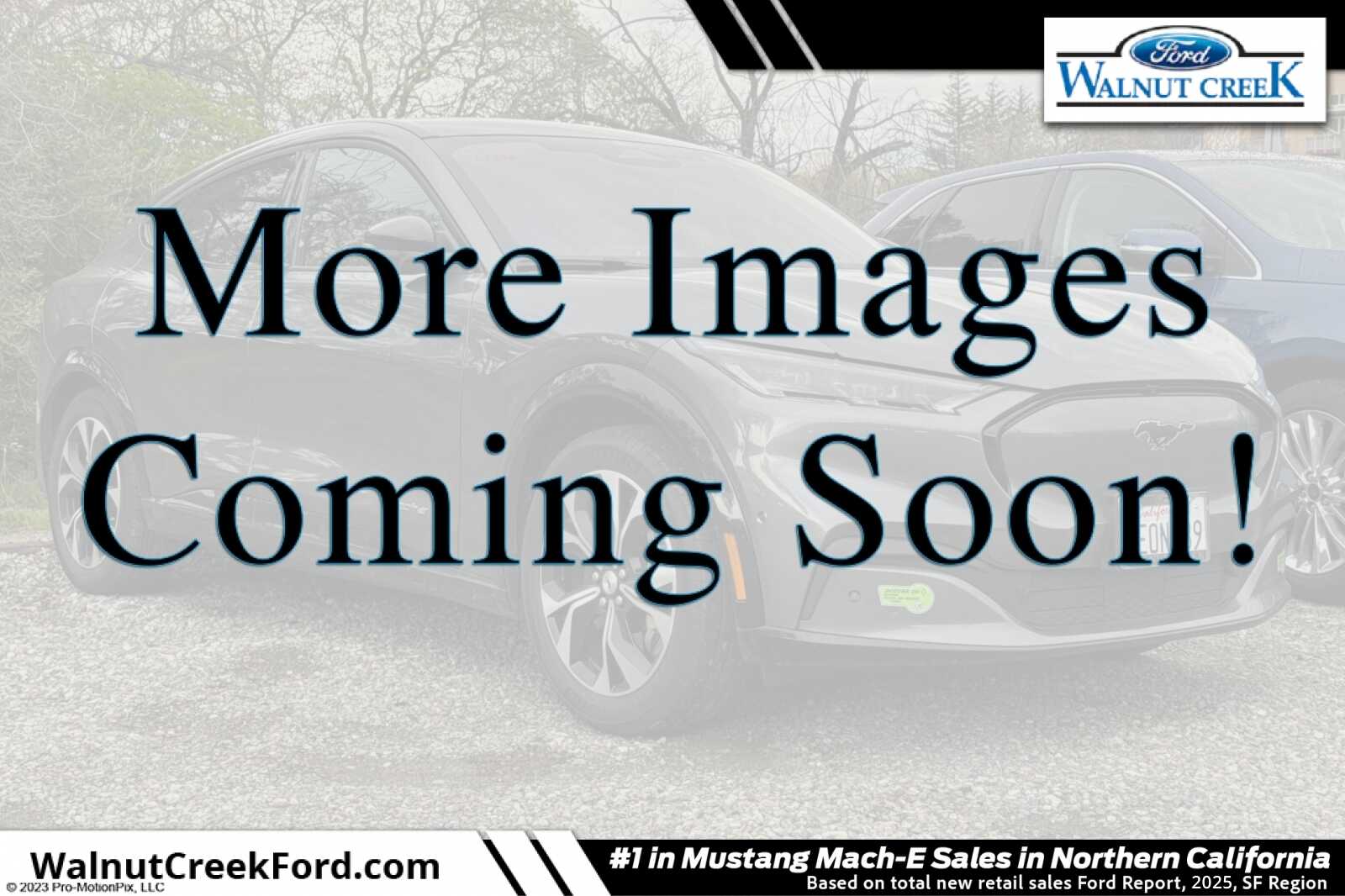 2023 Ford Mustang Mach-E Premium RWD