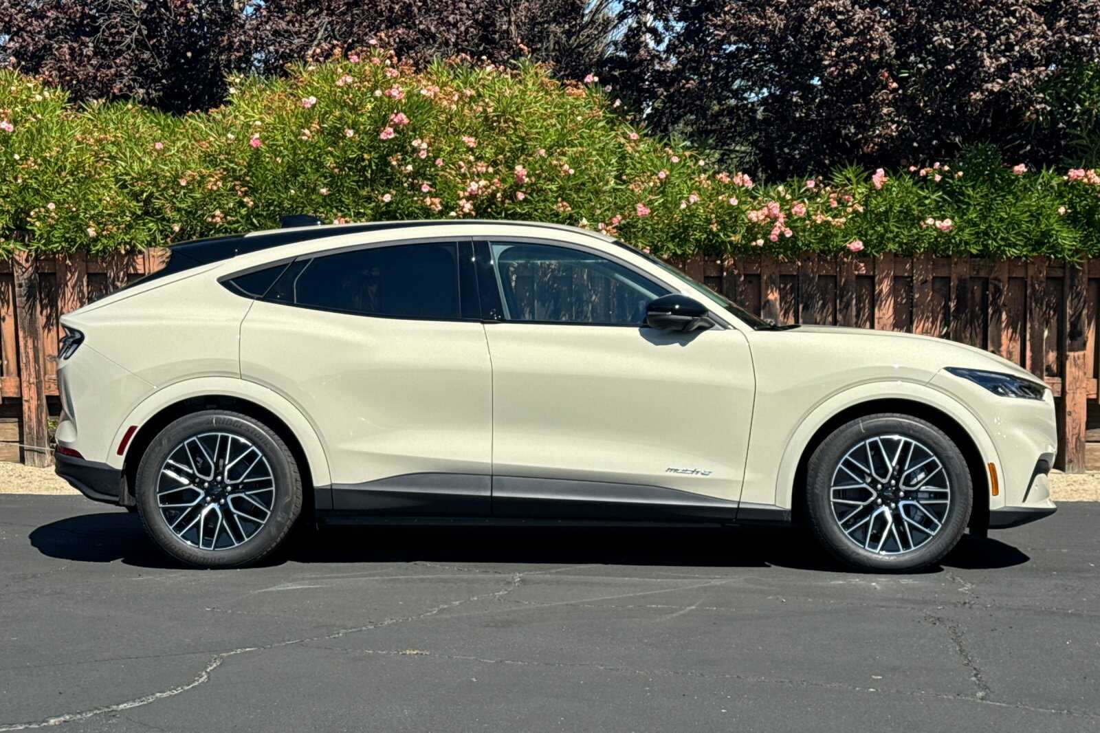 2025 Ford Mustang Mach-E Premium photo 3