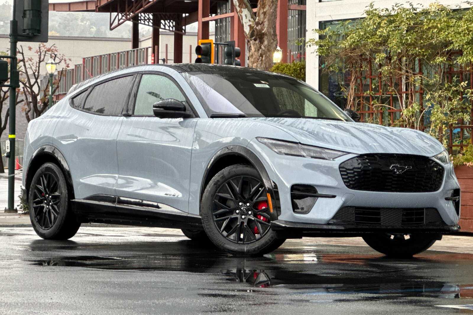 2025 Ford Mustang Mach-E Premium photo 2