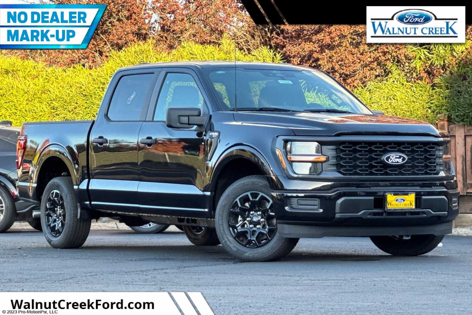 2025 Ford F-150 STX's photo