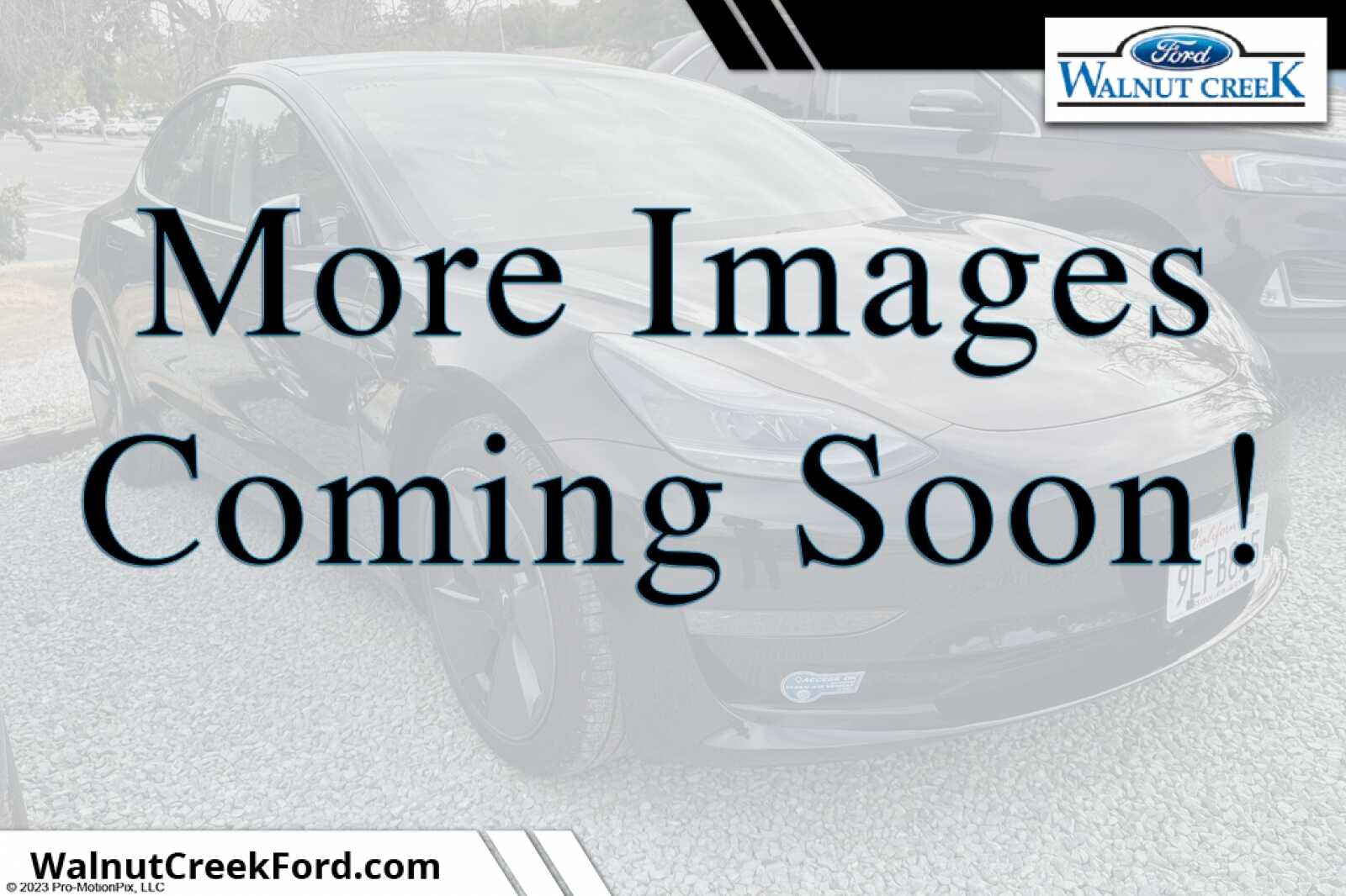 2021 Tesla Model 3 Standard Range Plus's photo