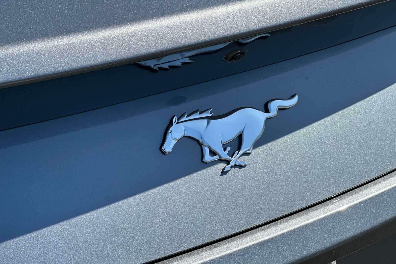 2025 Ford Mustang EcoBoost Fastback - Photo 21