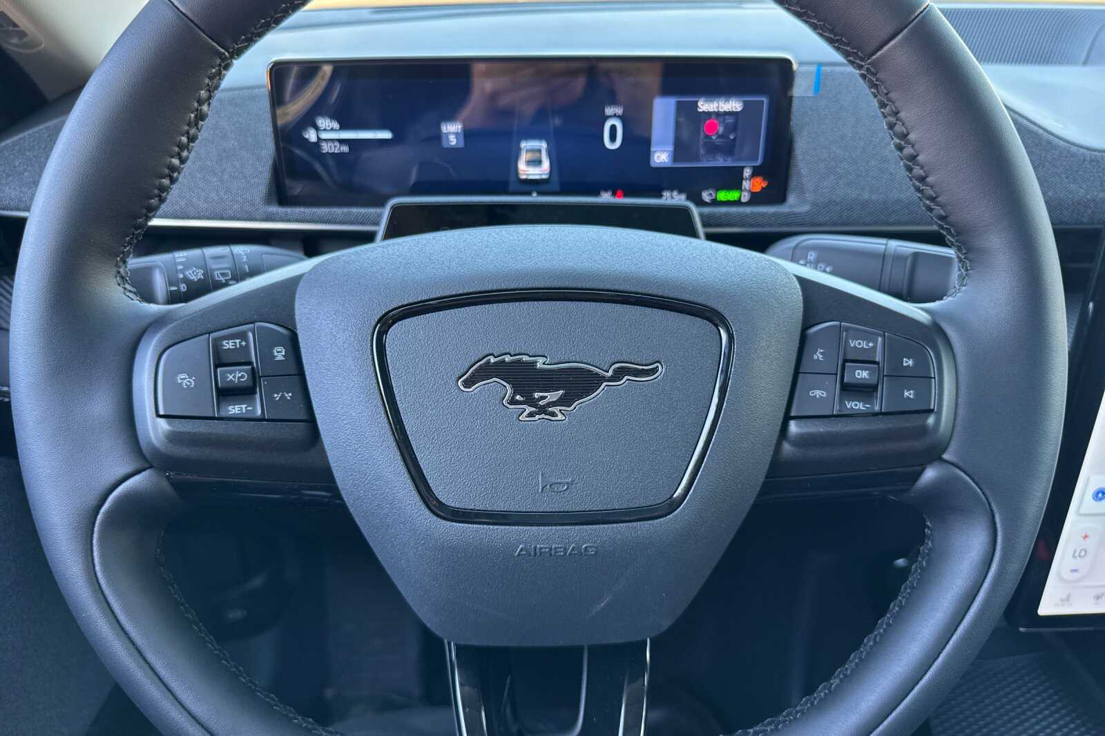 2025 Ford Mustang Mach-E Premium - Photo 21