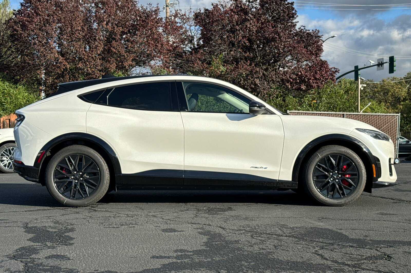 2025 Ford Mustang Mach-E Premium photo 3