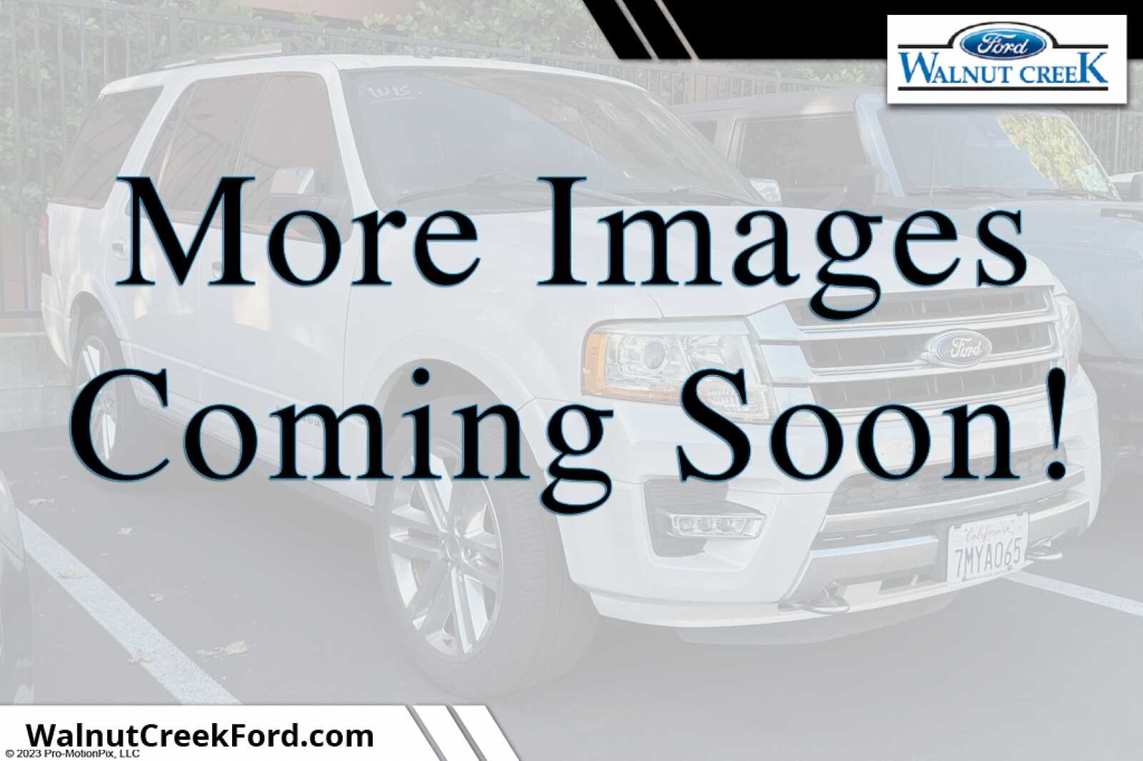 2015 Ford Expedition Platinum 4x4's photo