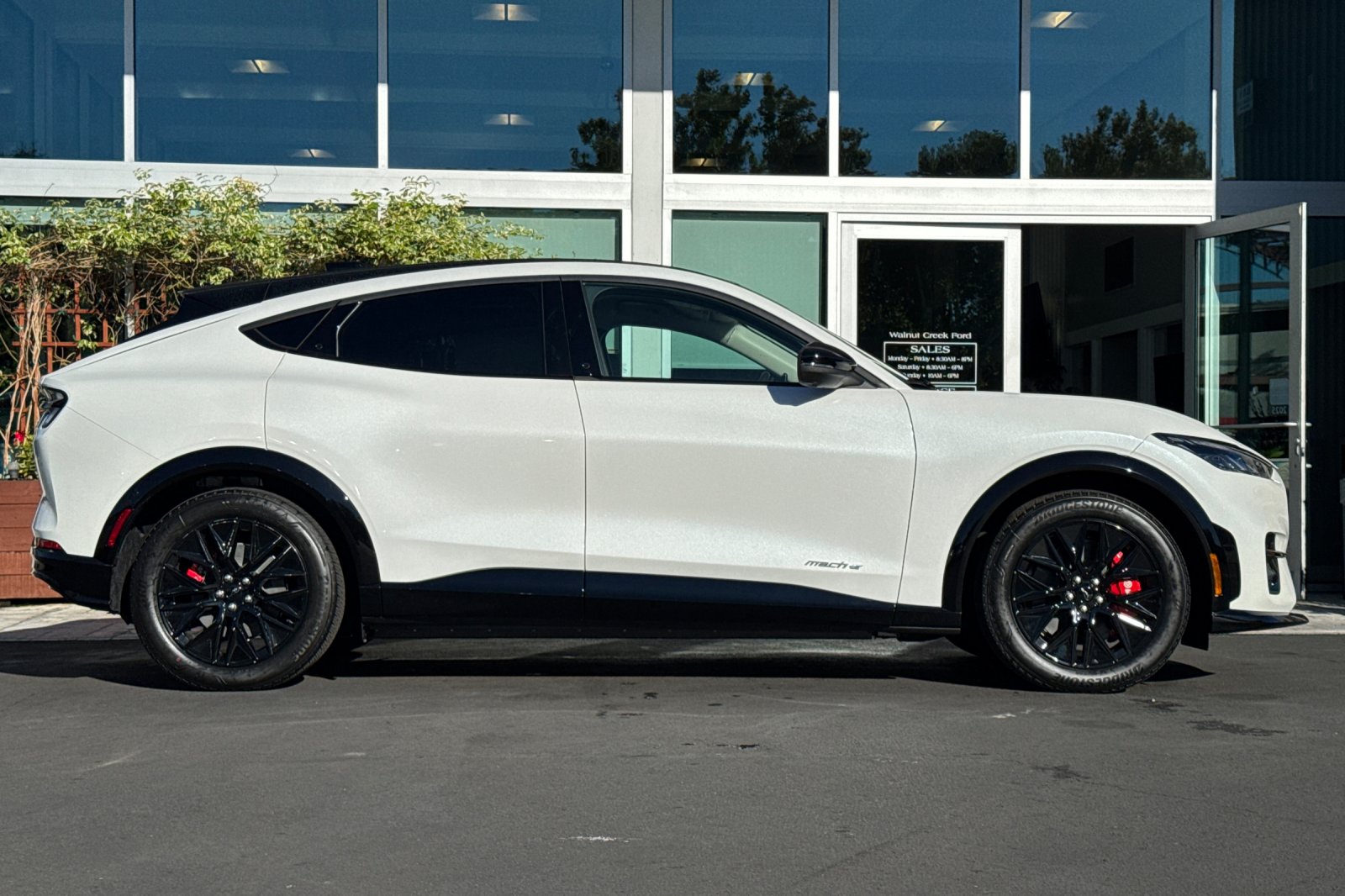 2025 Ford Mustang Mach-E Premium photo 3