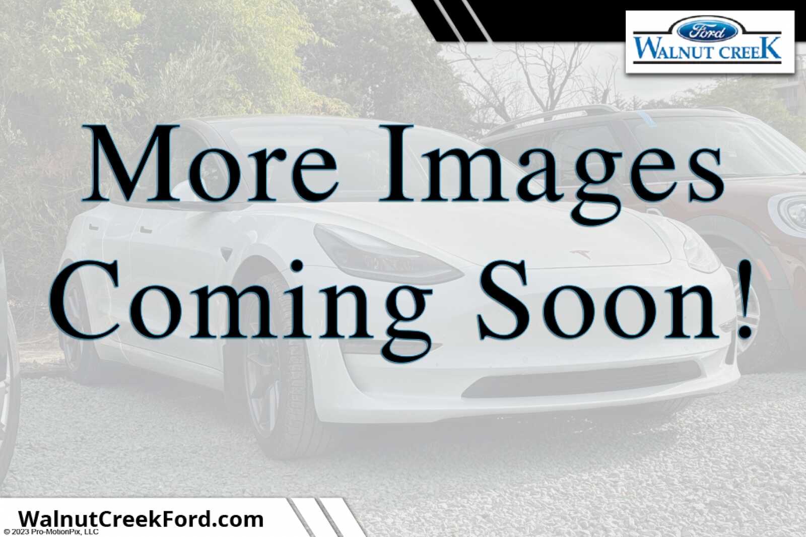 2022 Tesla Model 3 Long Range Dual Motor All-Wheel Drive's photo